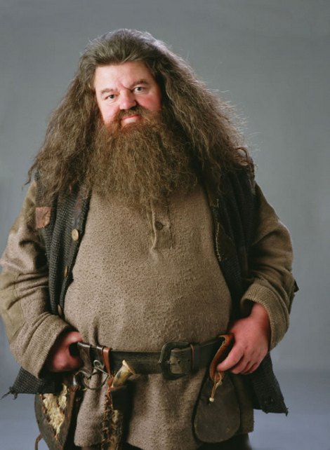 Hagrid je napůl obr a napůl člověk