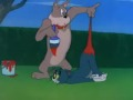 Tom a Jerry – Psí bouda (72.díl)