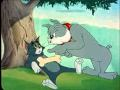 Tom a Jerry – Ukřivděná kočka (53.díl)