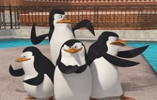 Studio DreamWorks plánuje na rok 2015 film o tučňácích z Madagaskaru!