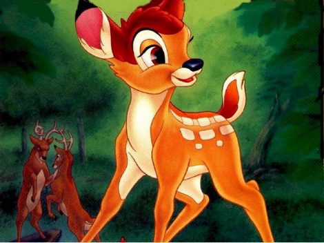 Mladý Bambi se musí naučit, jak to v lese chodí