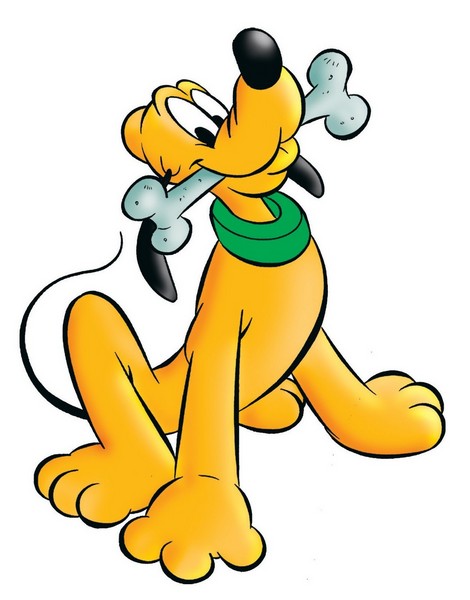 Pluto je hodný a hravý pes